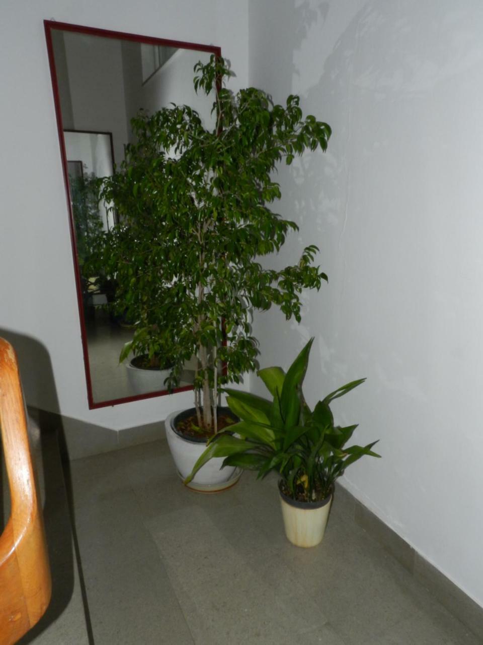 Levak Apartments - Apt. 1 Пиешчана Увала Екстериор снимка